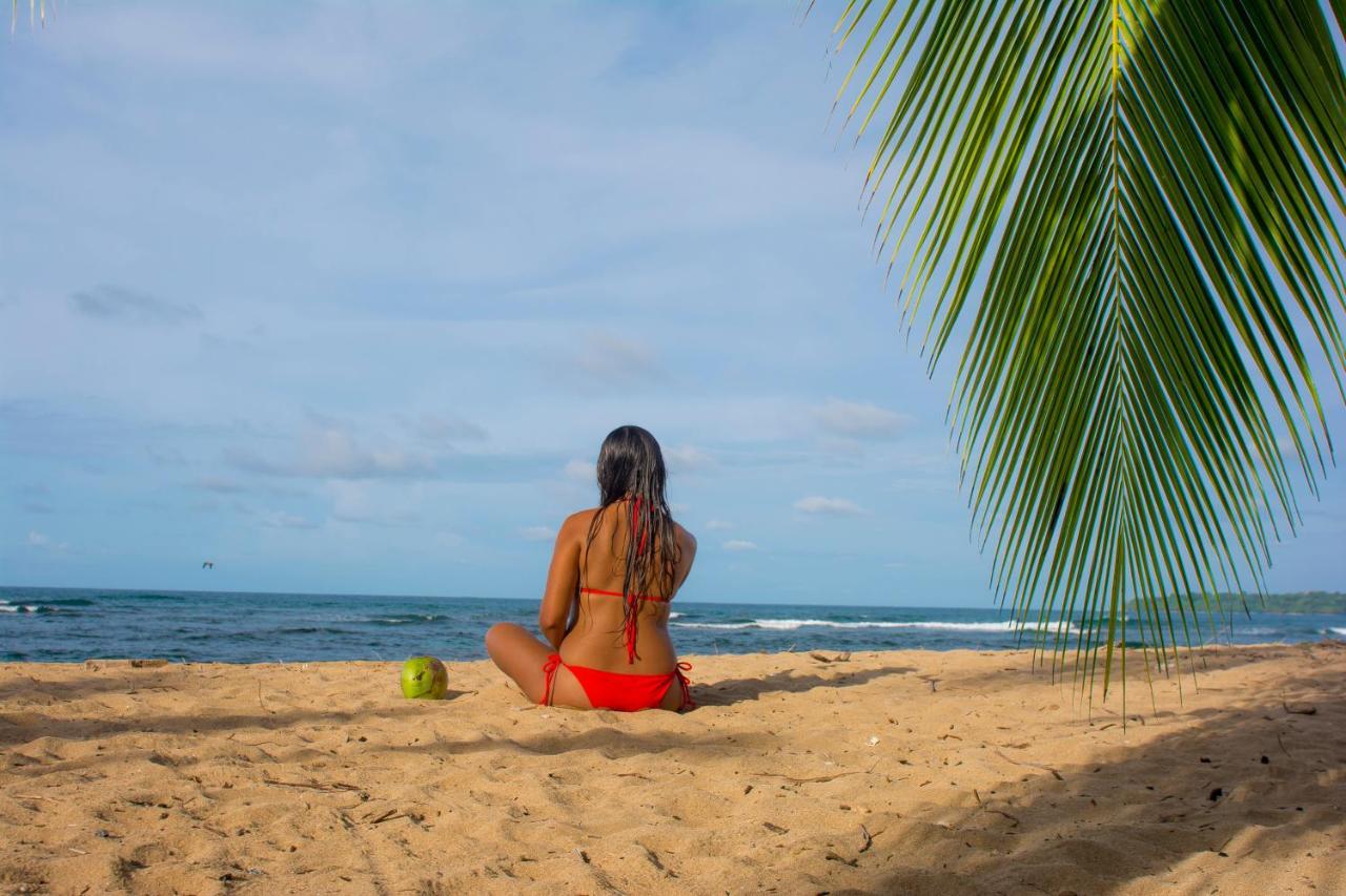 Hotel Sunshine Caribe Puerto Viejo de Talamanca Eksteriør billede