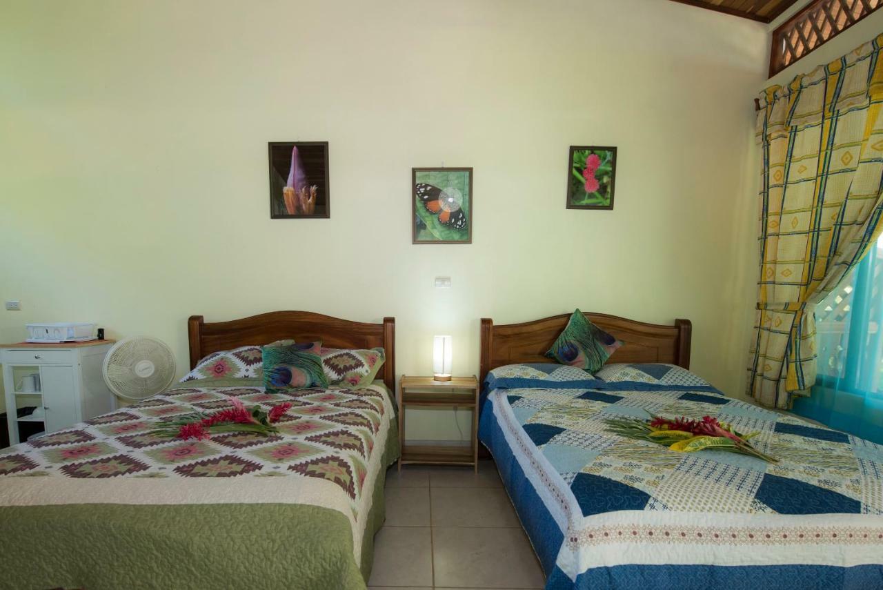 Hotel Sunshine Caribe Puerto Viejo de Talamanca Eksteriør billede