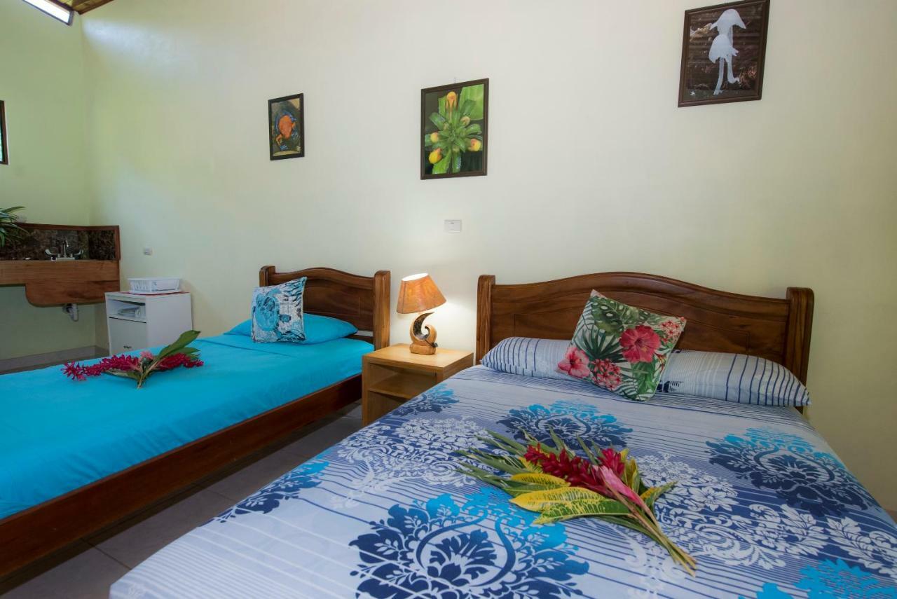 Hotel Sunshine Caribe Puerto Viejo de Talamanca Eksteriør billede